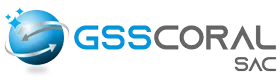 GSS CORAL S.A.C. – Venta de EPP y artículos de limpieza GSS CORAL S.A.C. – Venta de EPP y artículos de limpieza